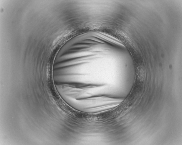 X0000088610740200706221430