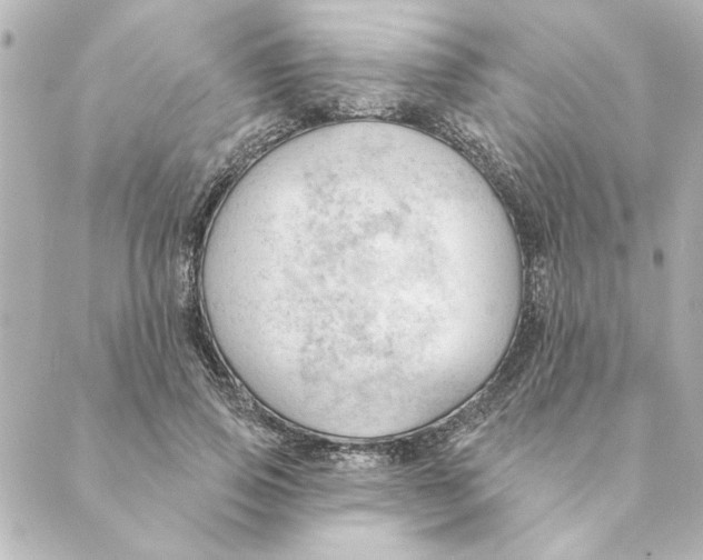 X0000088610741200706221430