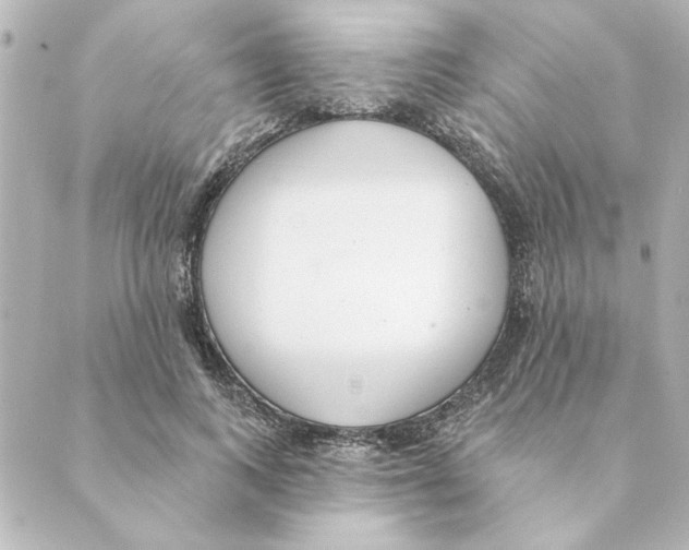 X0000088610743200706221430