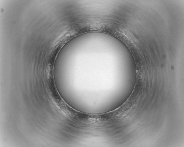 X0000088610744200706221430