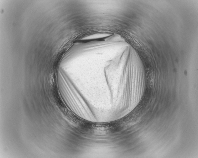 X0000088610746200706221430