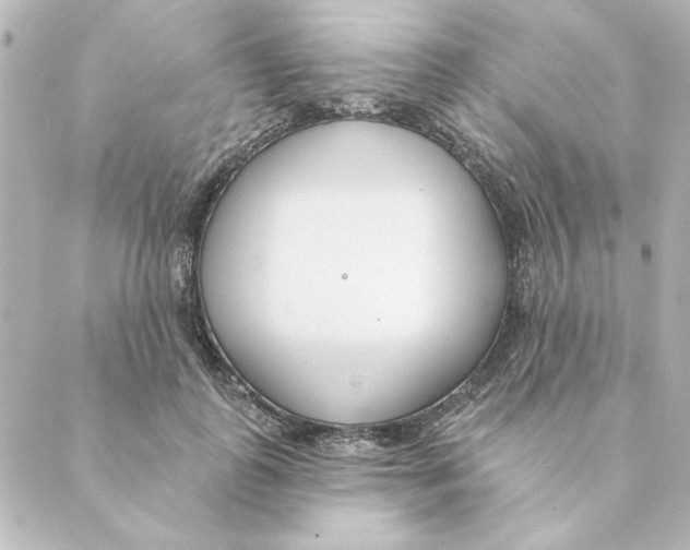 X0000088610747200706221430