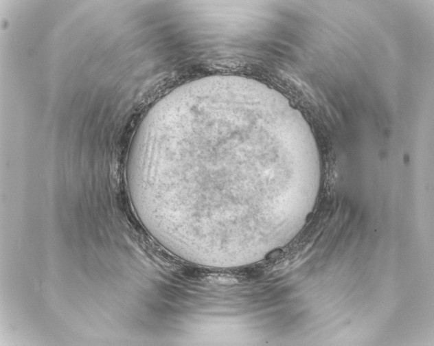 X0000088610749200706221430