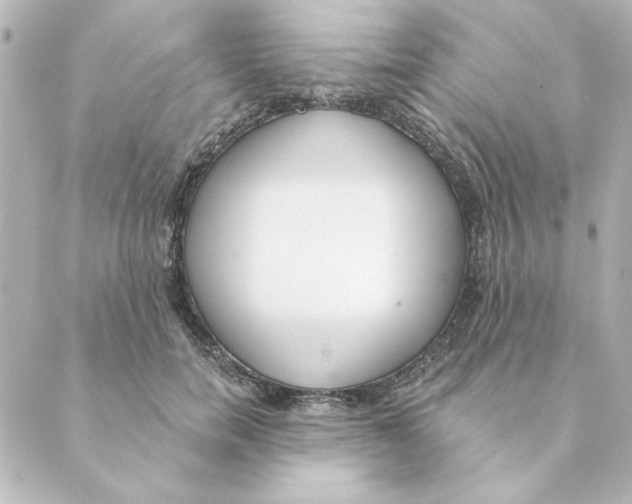 X0000088610750200706221430