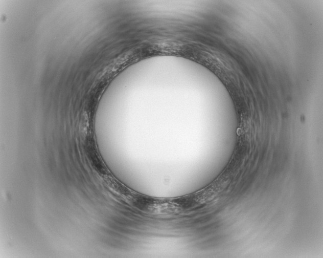 X0000088610752200706221430