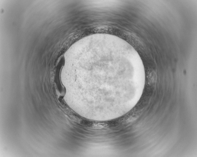 X0000088610753200706221430