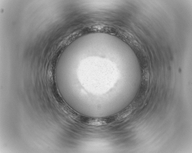 X0000088610754200706221430