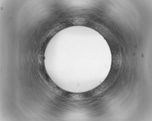 X0000088610755200706221430