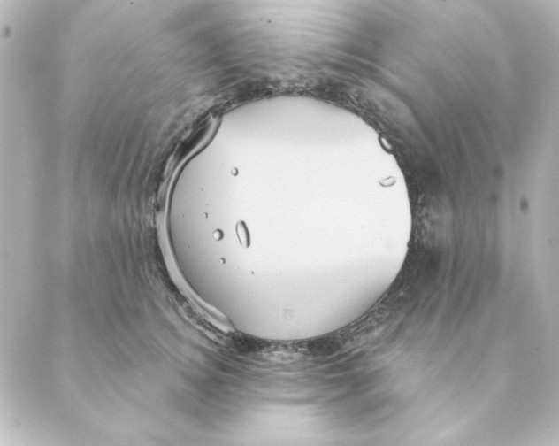 X0000088610756200706221430