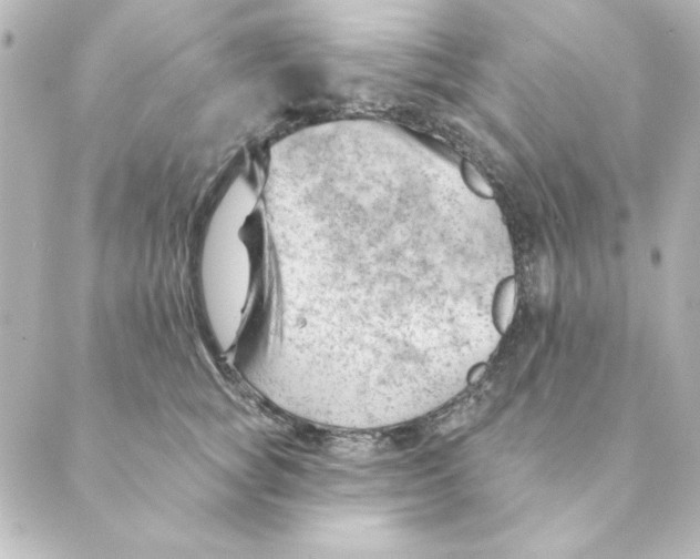 X0000088610757200706221430