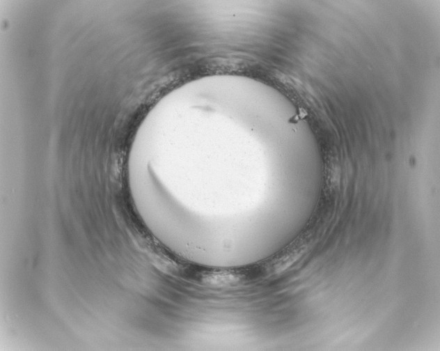 X0000088610759200706221430