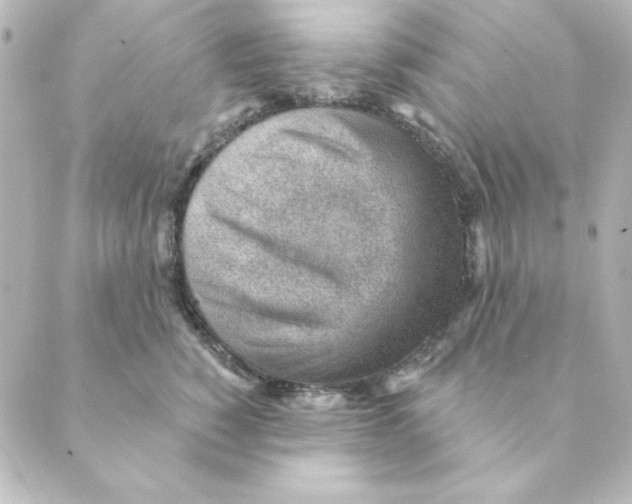 X0000088610760200706221430