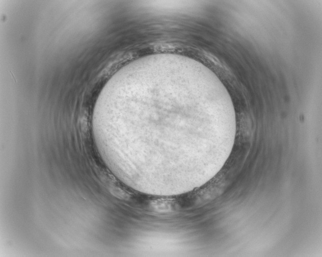 X0000088610761200706221430