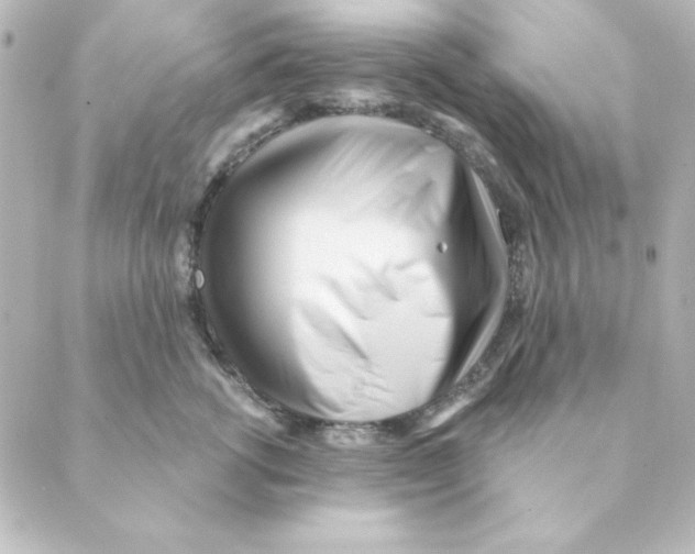 X0000088610762200706221430