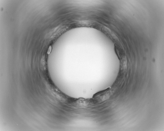 X0000088610764200706221430