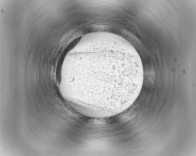 X0000088610765200706221430