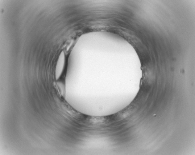 X0000088610767200706221430