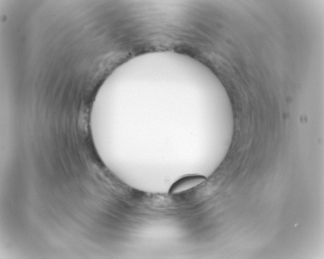 X0000088610768200706221430