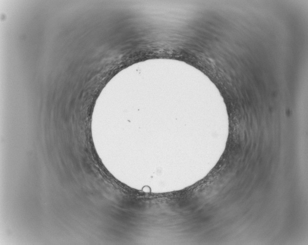 X0000088610769200706221430