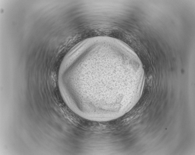 X0000088610772200706221430