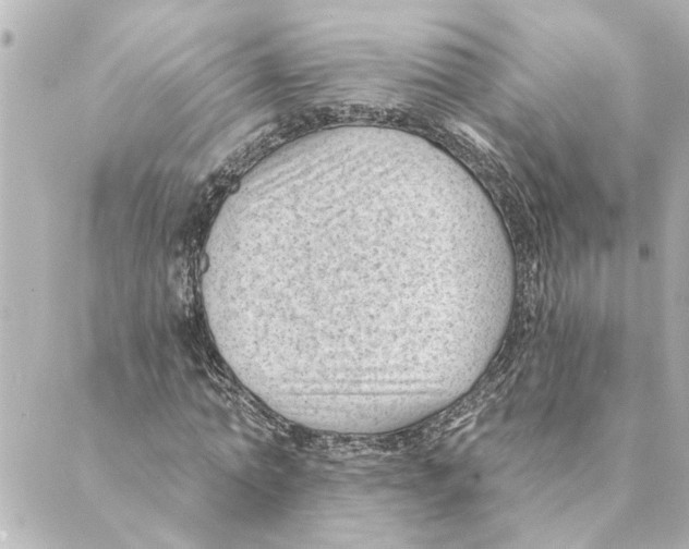 X0000088610774200706221430