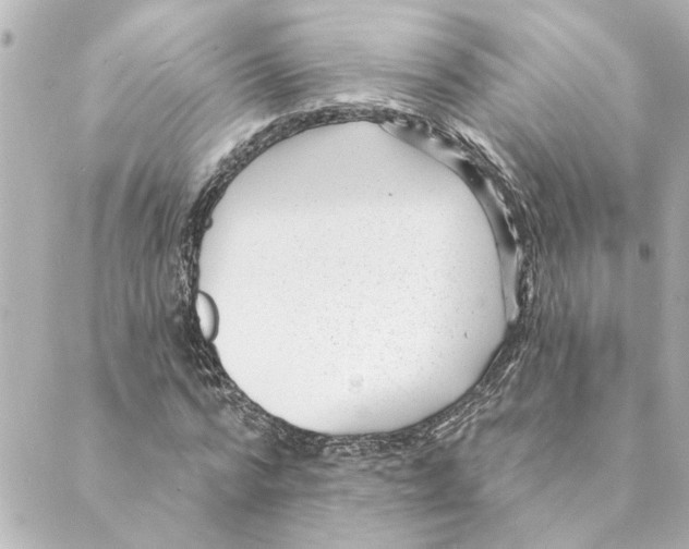 X0000088610776200706221430