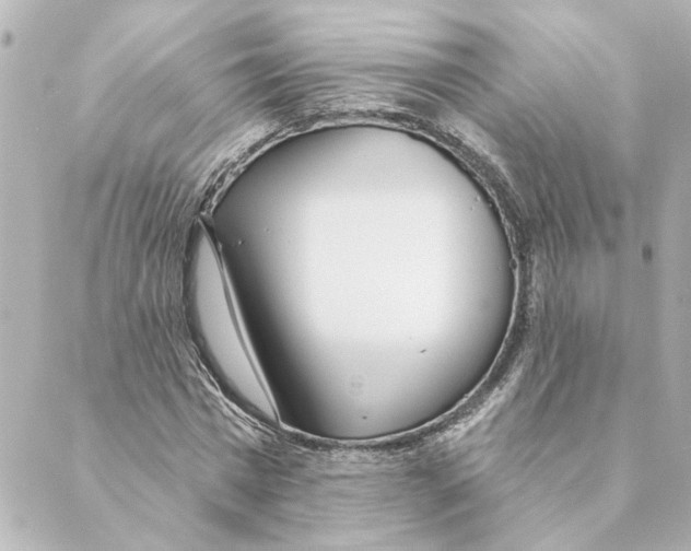 X0000088610777200706221430