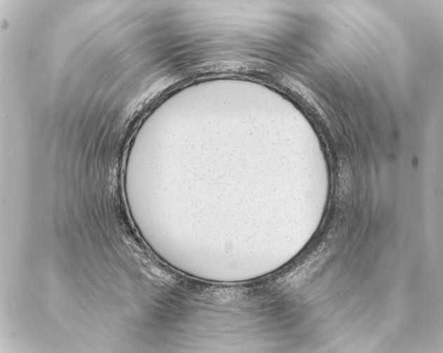 X0000088610778200706221429