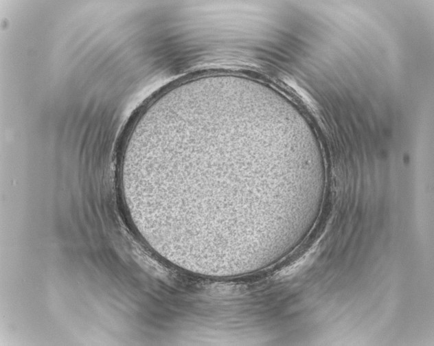 X0000088610779200706221429