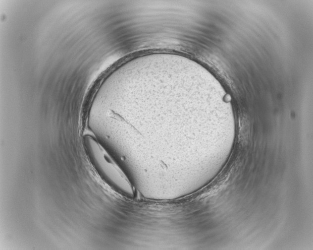 X0000088610780200706221429