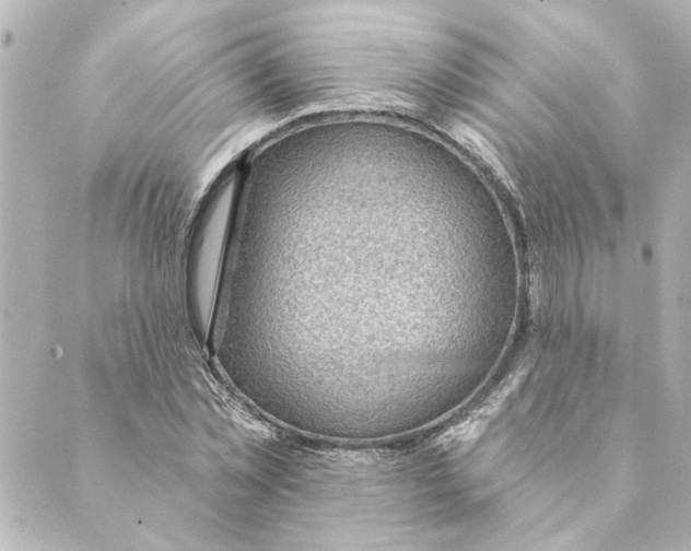 X0000088610781200706221429