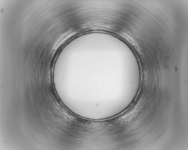 X0000088610782200706221429