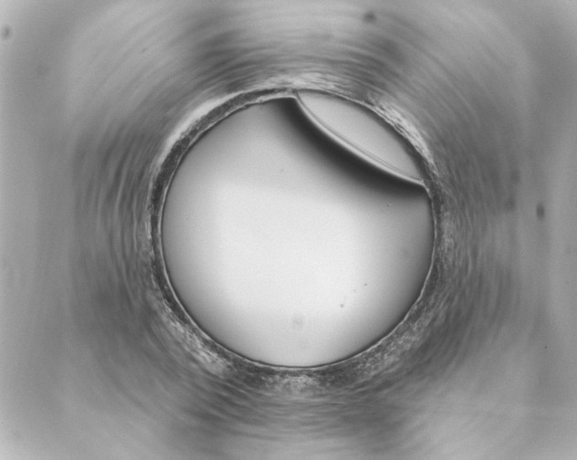 X0000088610784200706221429