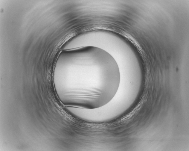 X0000088610785200706221429