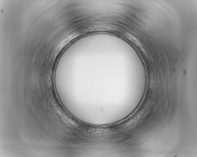 X0000088610786200706221429