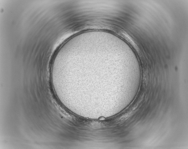 X0000088610787200706221429