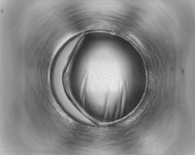 X0000088610788200706221429