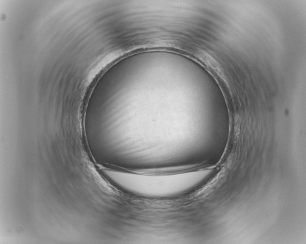 X0000088610789200706221429