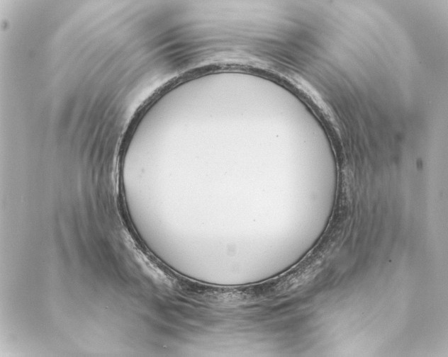 X0000088610791200706221429