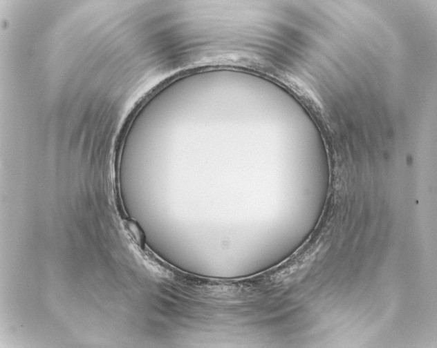 X0000088610792200706221429