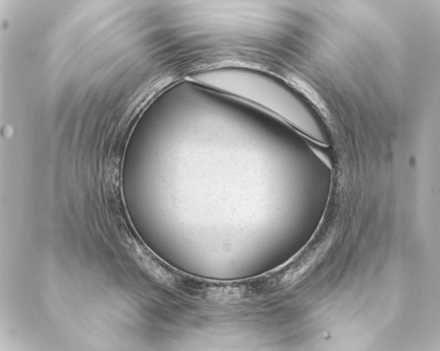 X0000088610793200706221429