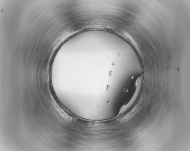 X0000088610795200706221429