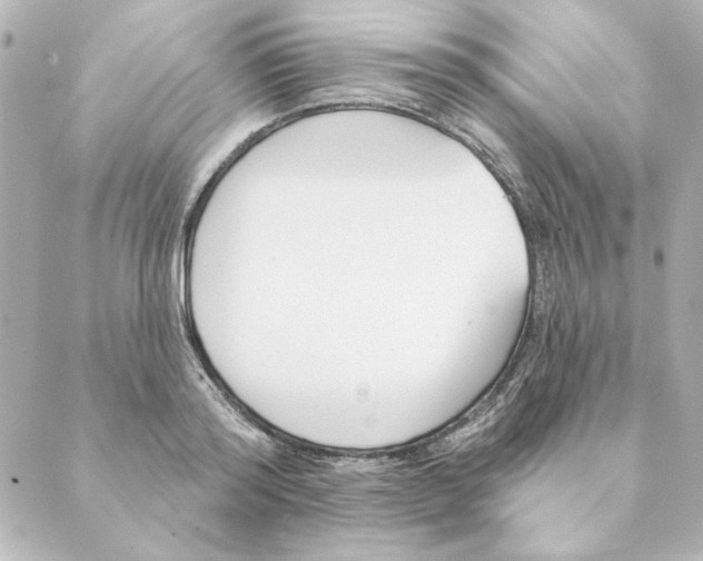 X0000088610796200706221429