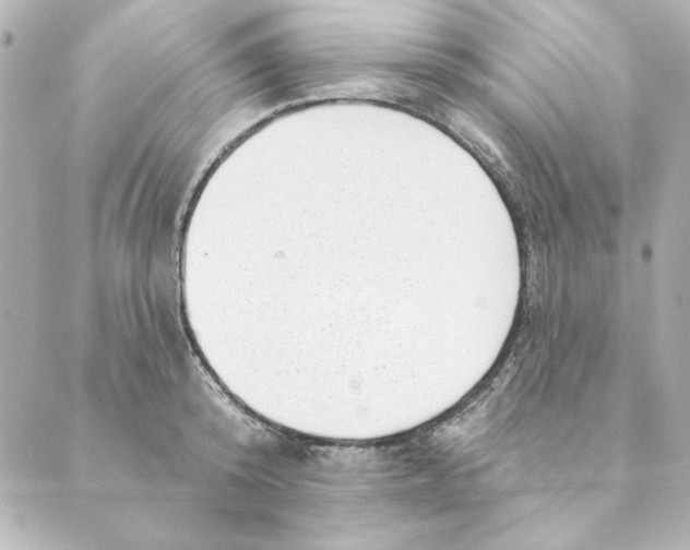 X0000088610800200706221429