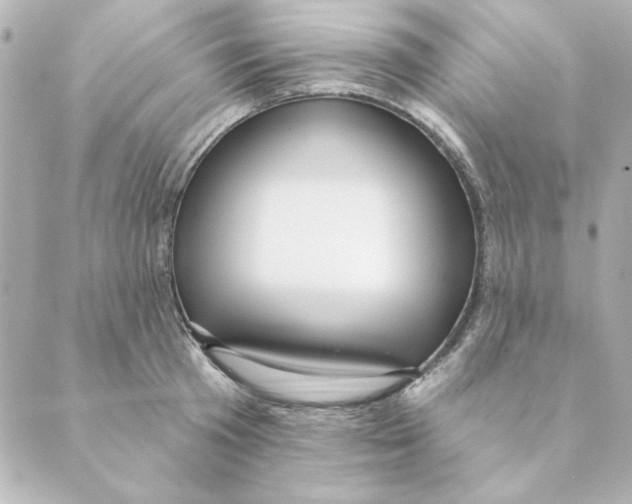 X0000088610801200706221429