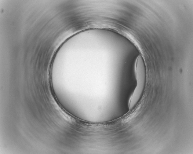 X0000088610803200706221429