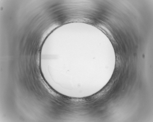 X0000088610804200706221429