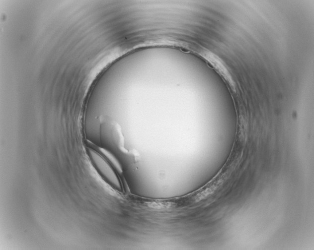 X0000088610805200706221429