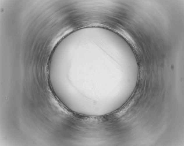 X0000088610806200706221429