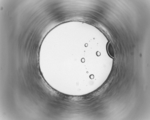 X0000088610808200706221429